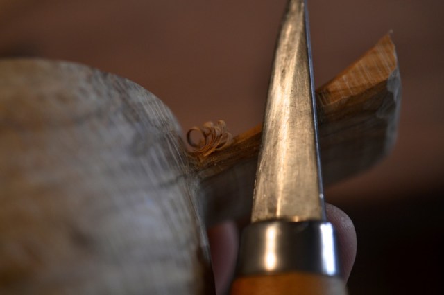 husbandry in harvest22