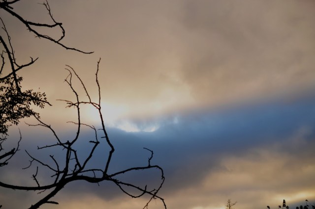 husbandry in harvest25