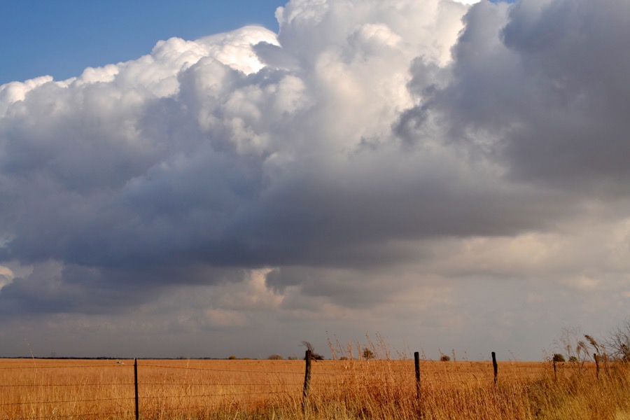 husbandry in harvest42