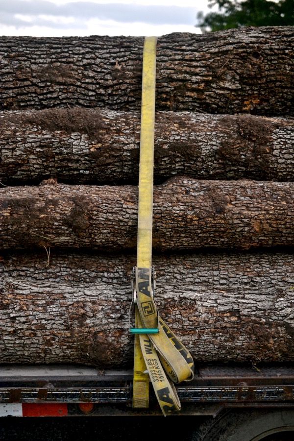 beautiful industry02