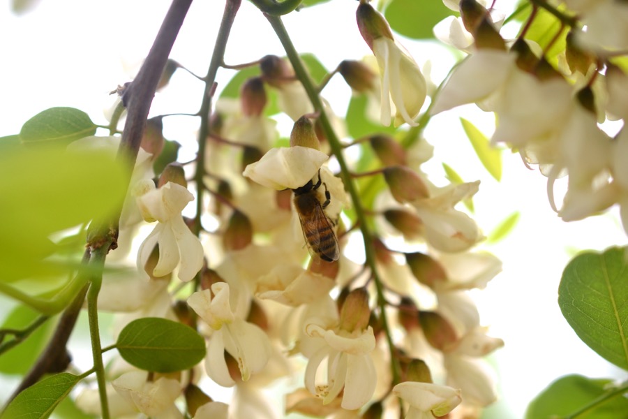 beautiful industry09