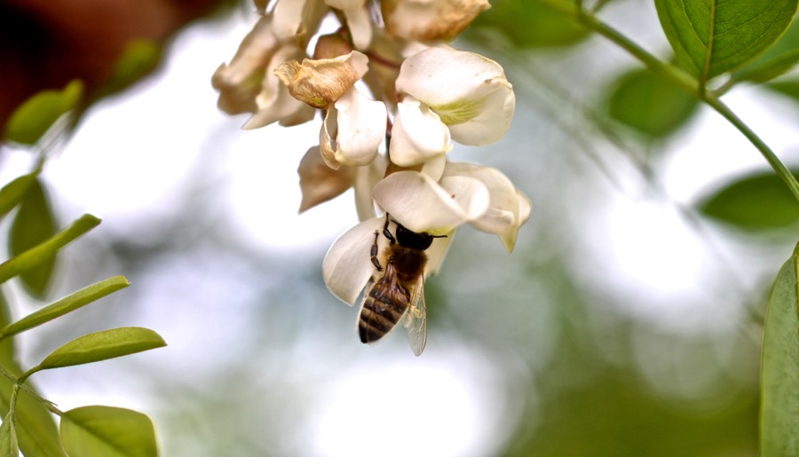 beautiful industry10