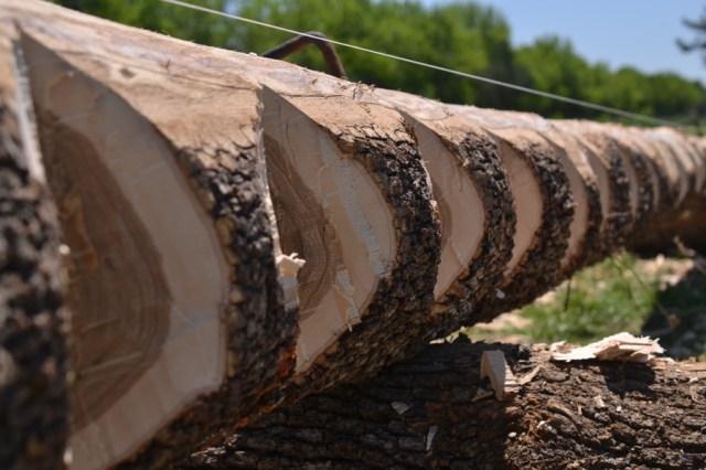 beautiful industry17