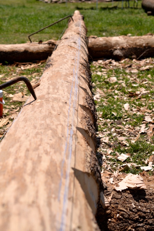 beautiful industry18