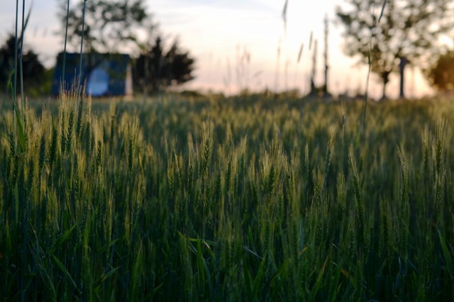 beautiful industry20