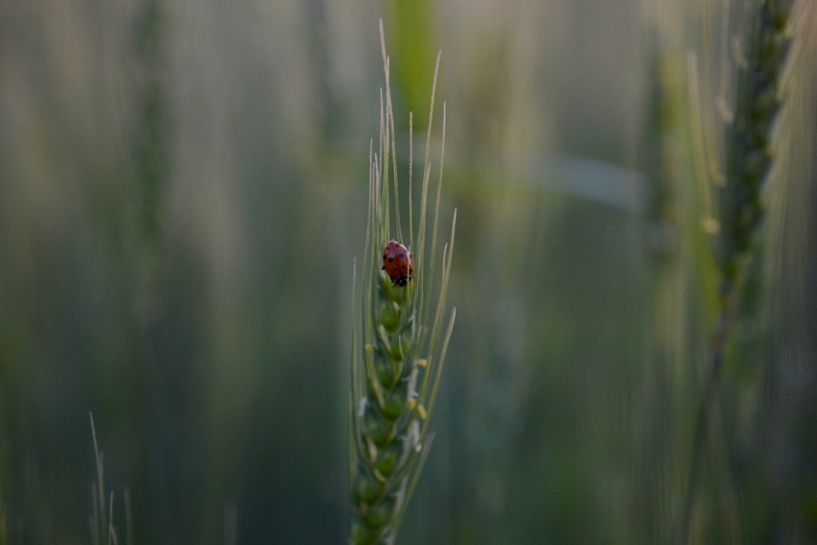 beautiful industry21