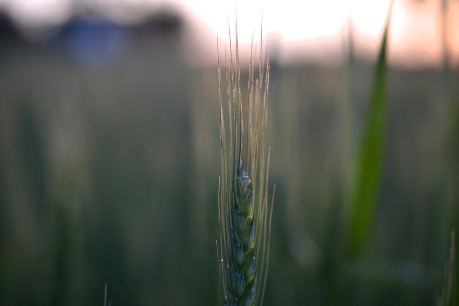 beautiful industry22