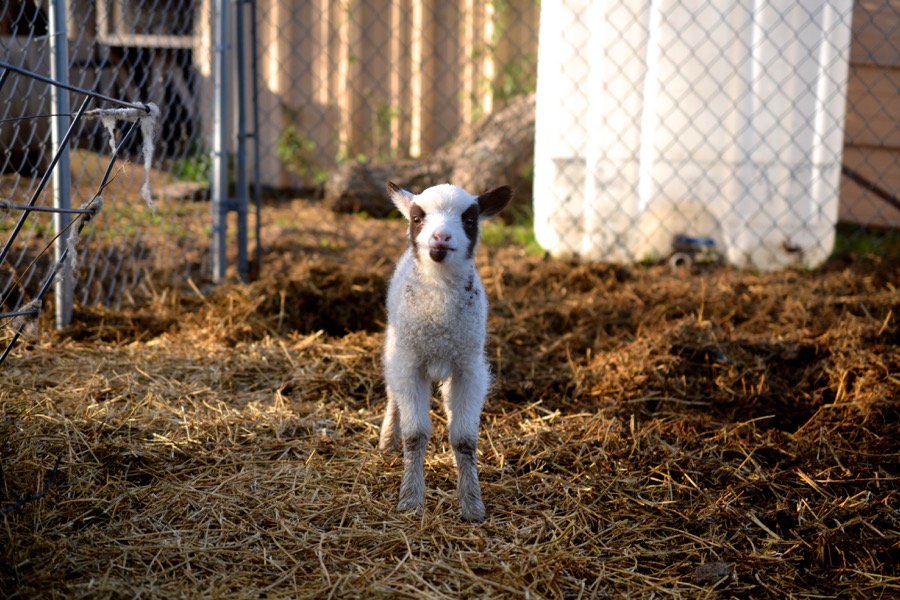 beautiful industry23