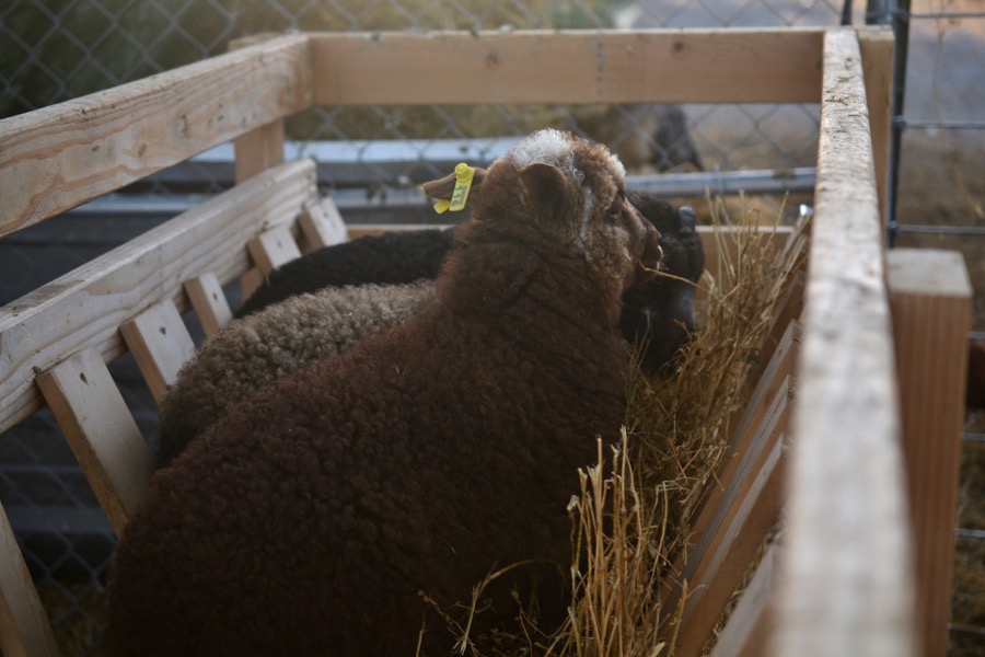 beautiful industry24