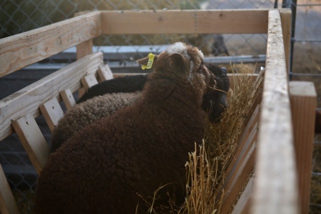 beautiful industry24