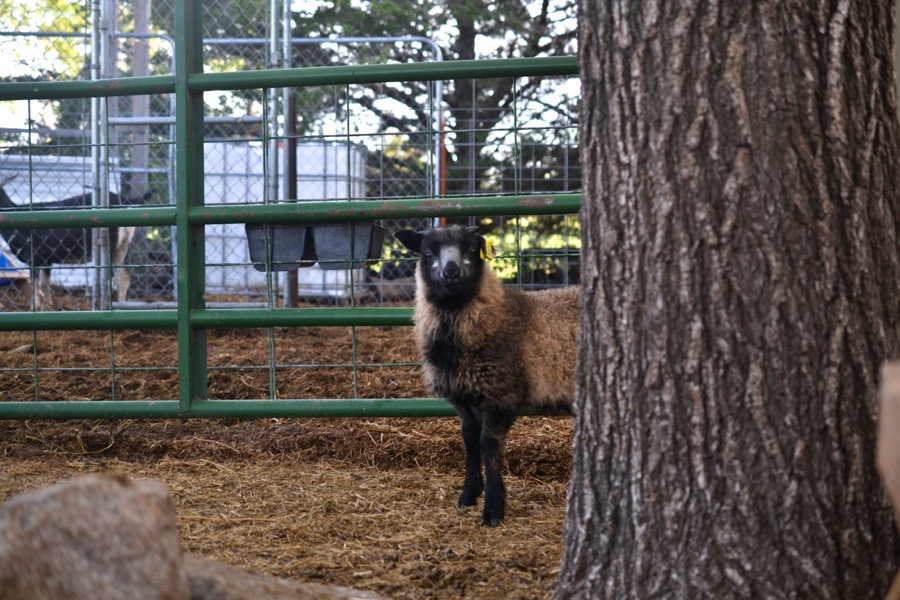 beautiful industry25