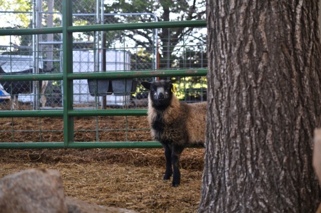 beautiful industry25