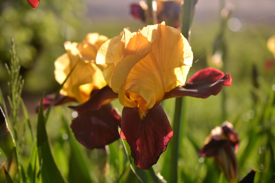 beautiful industry26