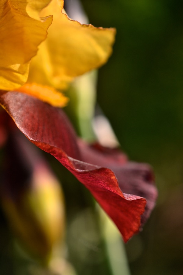 beautiful industry27