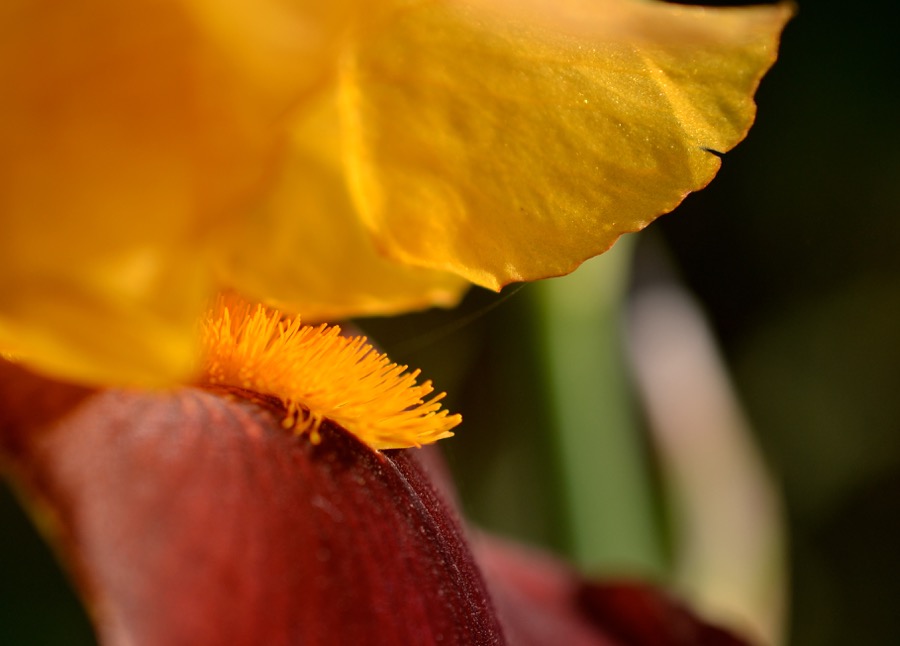 beautiful industry28