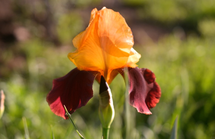 beautiful industry29