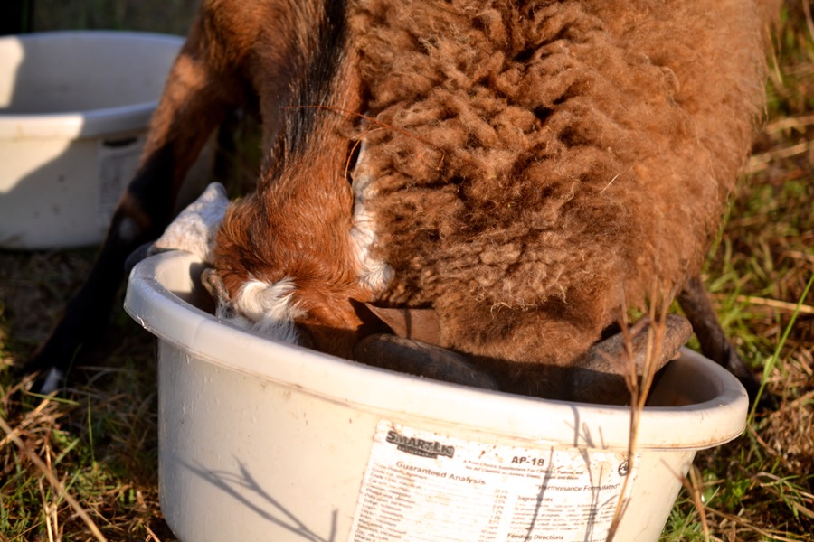 beautiful industry32