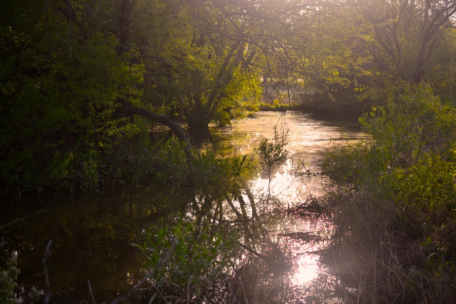 beautiful industry33