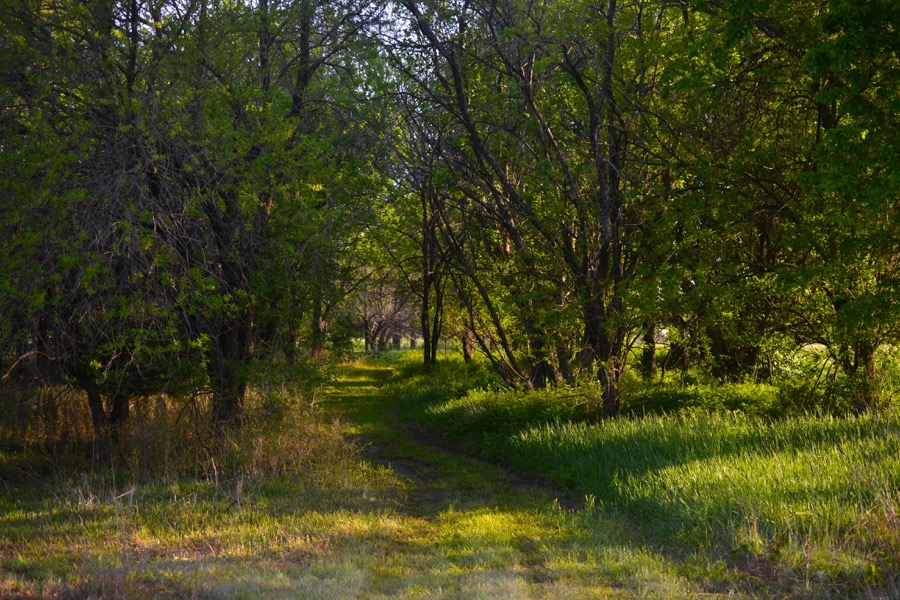 beautiful industry34