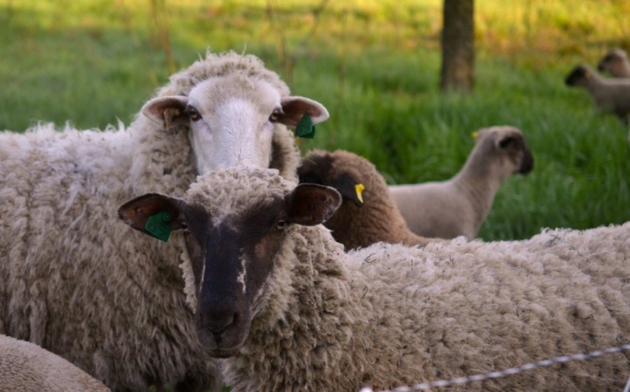 beautiful industry35