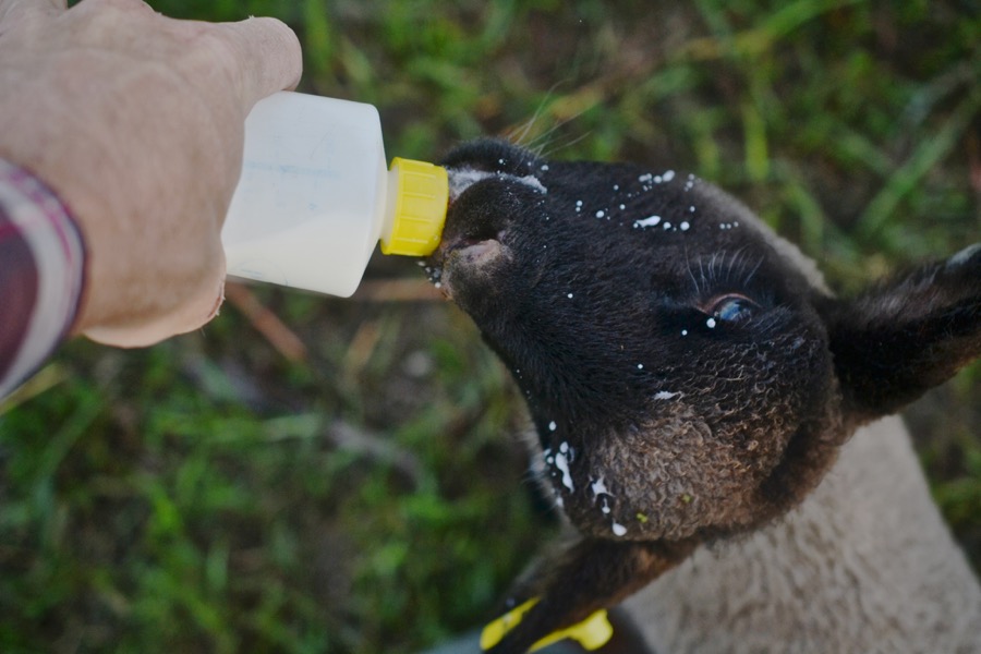 beautiful industry36