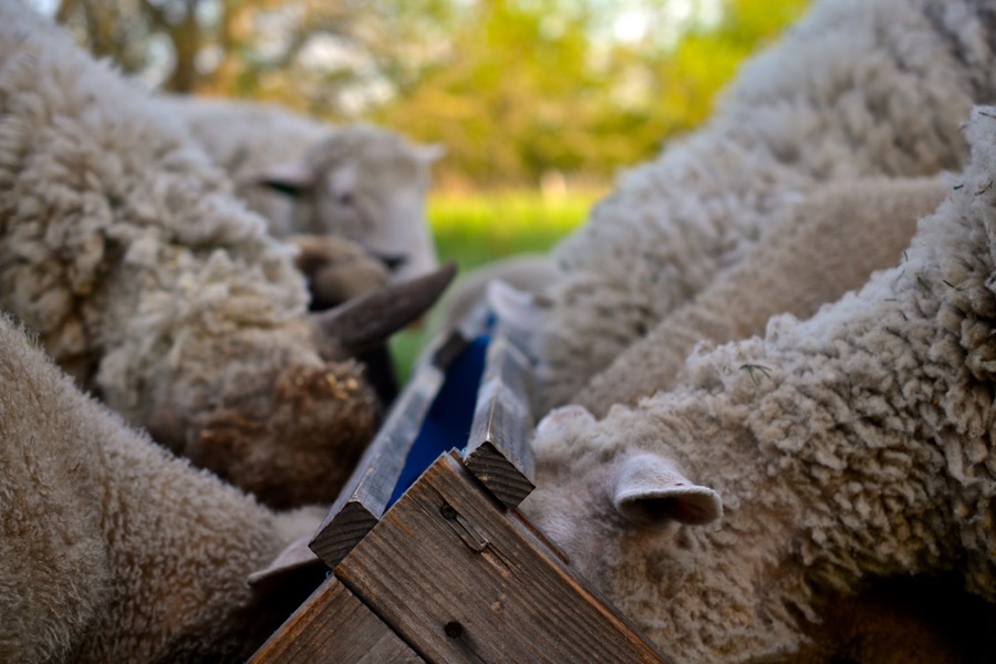 beautiful industry37