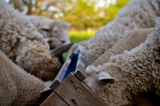 beautiful industry37