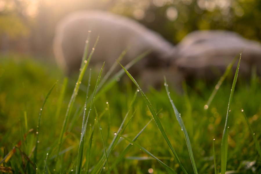 beautiful industry38