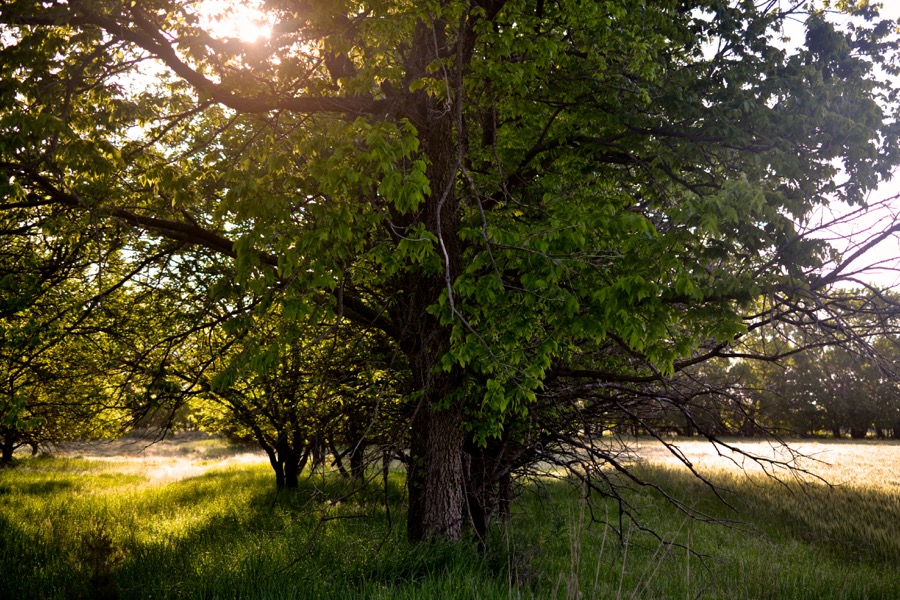 beautiful industry39