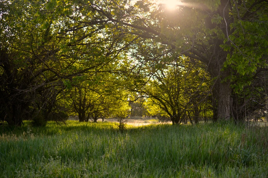 beautiful industry40