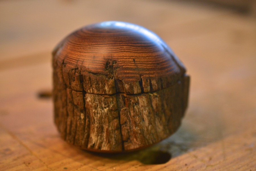 late-summer-details18