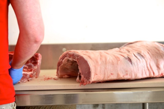 sister-hog-brother-tree-and-the-voice-of-copper06