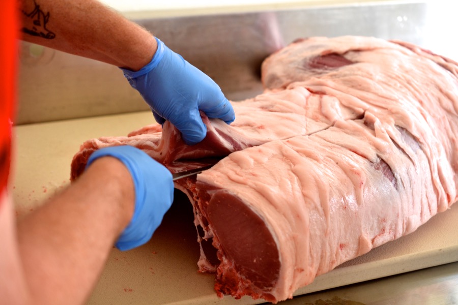 sister-hog-brother-tree-and-the-voice-of-copper07