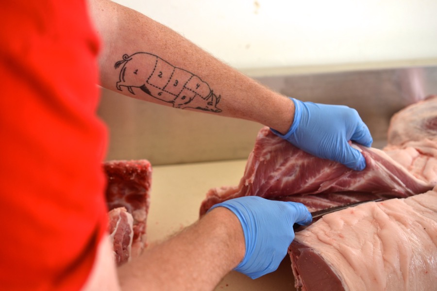 sister-hog-brother-tree-and-the-voice-of-copper08