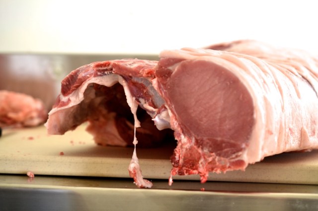 sister-hog-brother-tree-and-the-voice-of-copper09