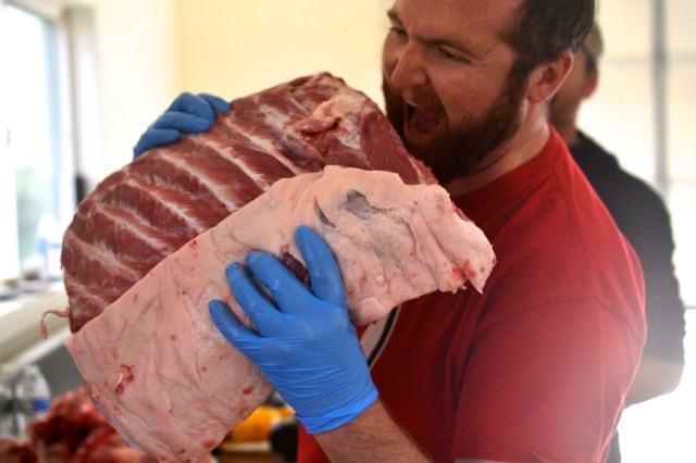 sister-hog-brother-tree-and-the-voice-of-copper10