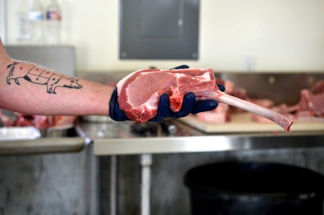 sister-hog-brother-tree-and-the-voice-of-copper14