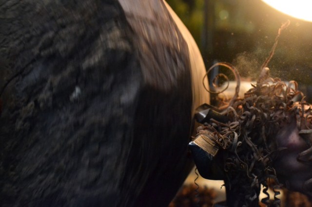 sister-hog-brother-tree-and-the-voice-of-copper18