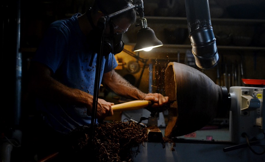 sister-hog-brother-tree-and-the-voice-of-copper19