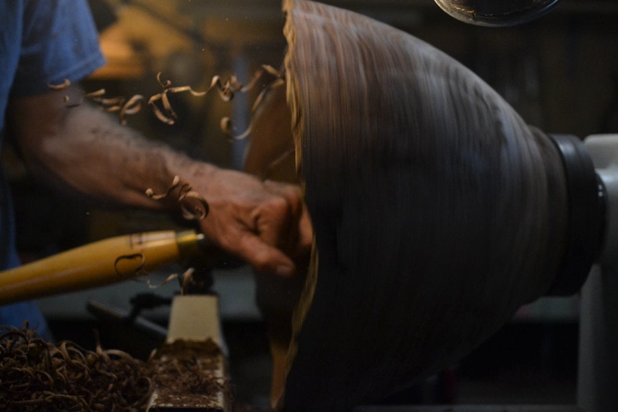 sister-hog-brother-tree-and-the-voice-of-copper20