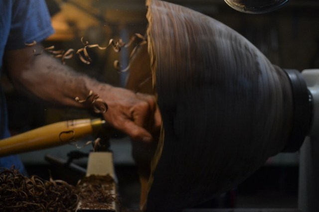 sister-hog-brother-tree-and-the-voice-of-copper20