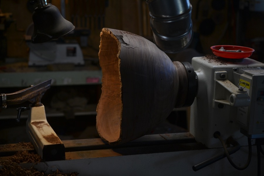 sister-hog-brother-tree-and-the-voice-of-copper21