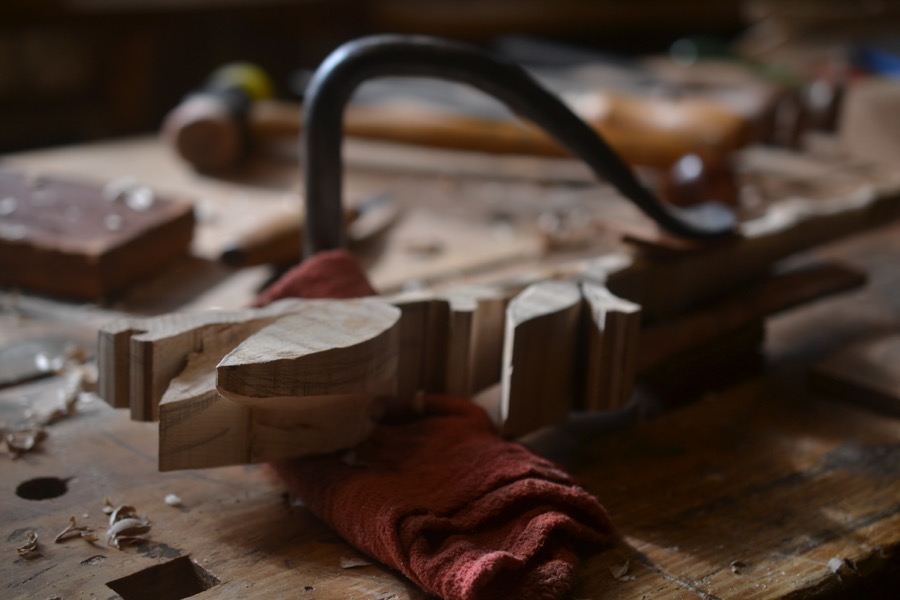 sister-hog-brother-tree-and-the-voice-of-copper22