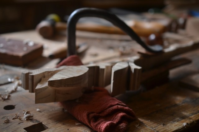 sister-hog-brother-tree-and-the-voice-of-copper22