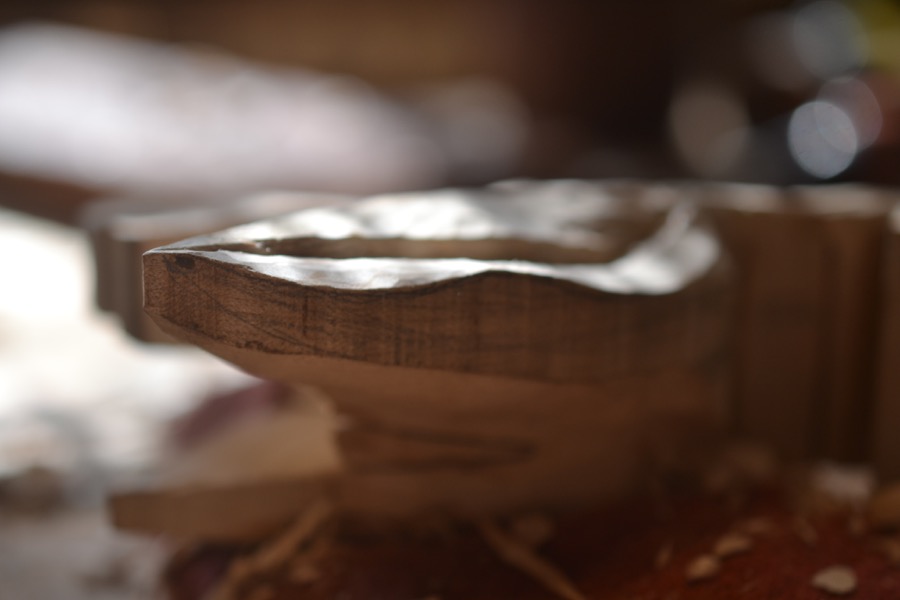 sister-hog-brother-tree-and-the-voice-of-copper26