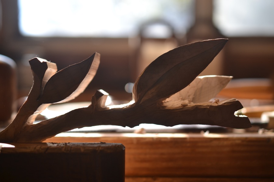 sister-hog-brother-tree-and-the-voice-of-copper27