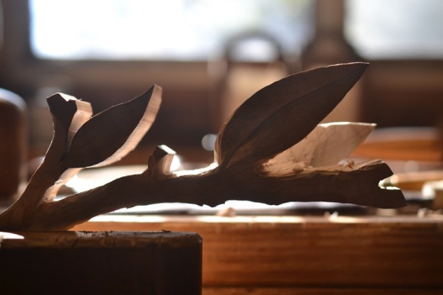 sister-hog-brother-tree-and-the-voice-of-copper27