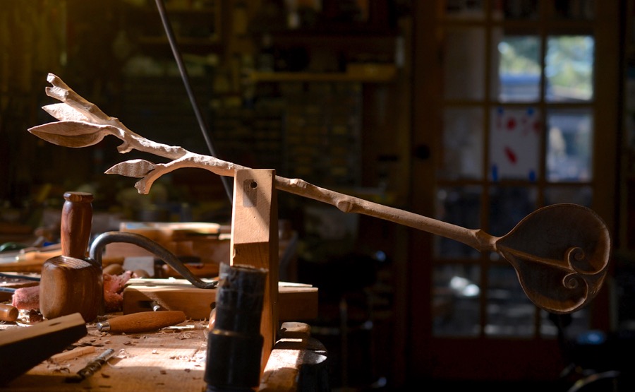 sister-hog-brother-tree-and-the-voice-of-copper29