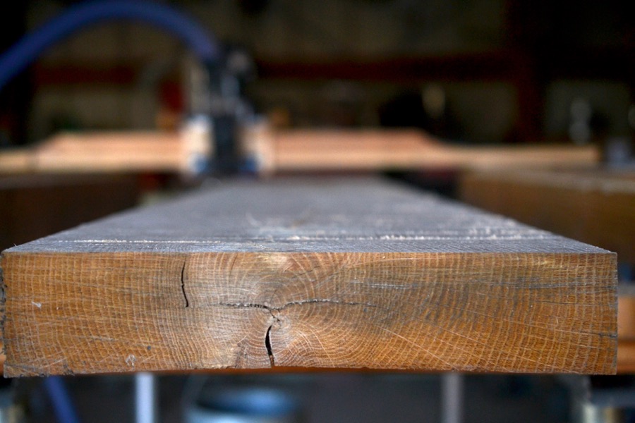 sister-hog-brother-tree-and-the-voice-of-copper31