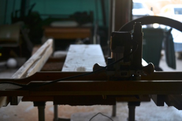 sister-hog-brother-tree-and-the-voice-of-copper32